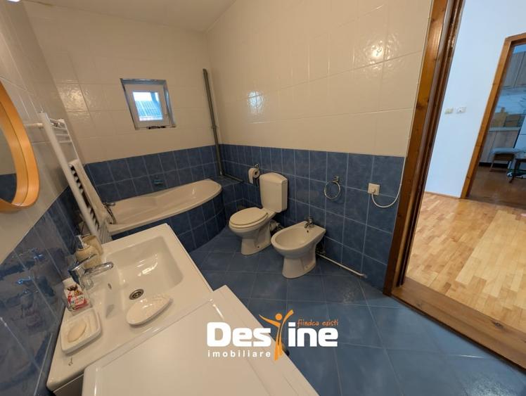 Vila D+P+1+M 6 camere 180 m utili 1000 mp teren utiliati, Lidl Bucium - 13