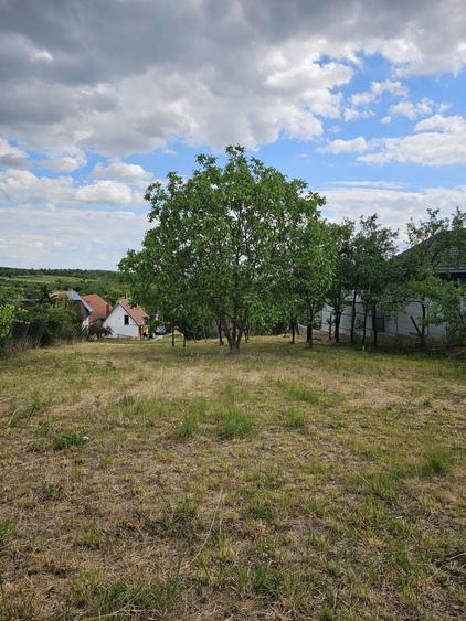 Teren Construcții intravilan de 780 mp, în Săldăbagiu de Munte
