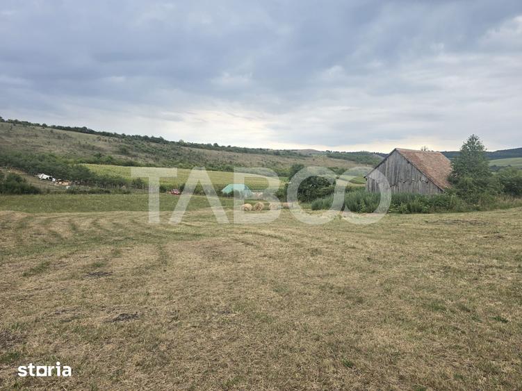 Teren de 8700 mp, în Șura Mare