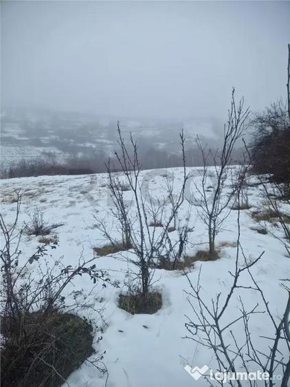 RECO, teren intravilan, Zona Sinteu, Bihor - 3