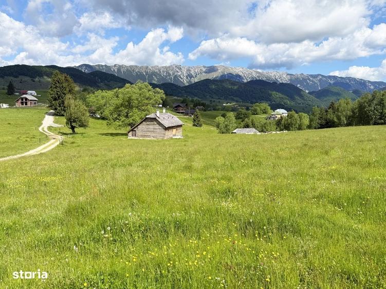 Teren 1425 mp, sat Sinea, zona Bran Moieciu - 6