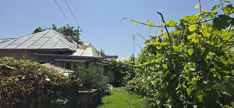 Casă cu 2 camere în Central