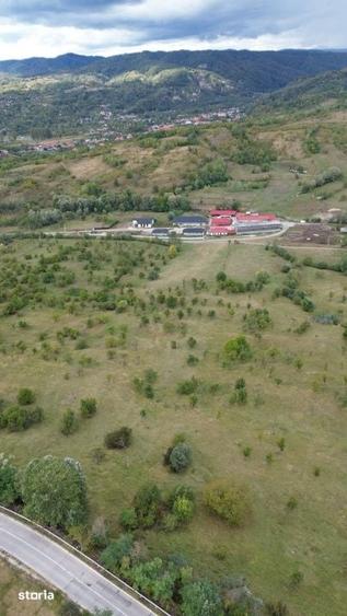 Teren de 13500 mp, în Berevoești