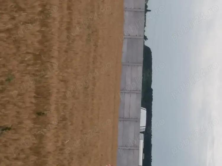 Vanzare Teren intravilan 5000mp Magurele - 3