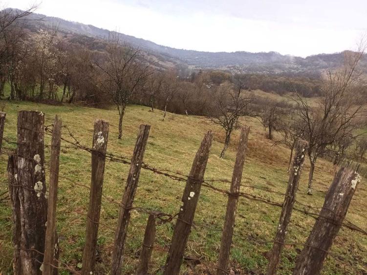 Teren de vanzare - 4