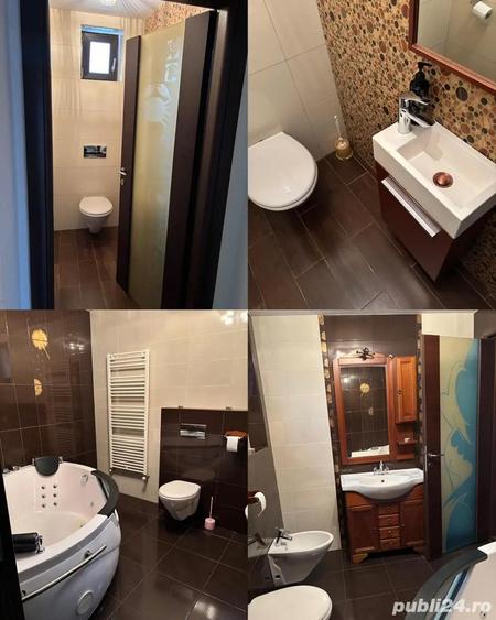 Vila deosebita de vanzare Pitesti Cartier Trivale Langa padure 2 min de Schitul din Trivale - 4