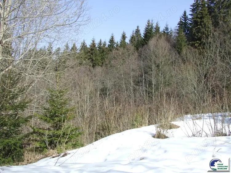 Teren situat in Predeal - 6