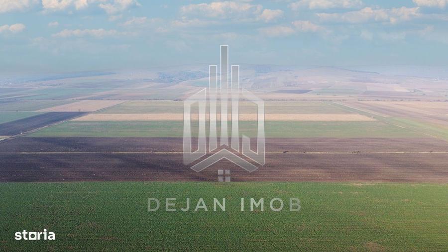 5 Ha | Teren extravilan | Langa Fabrica Reci - 2