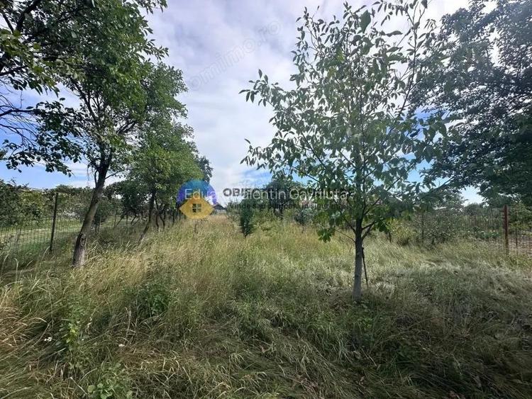 Teren de Vanzare 1172 mp Dumbrava Ro?ie, Neam?