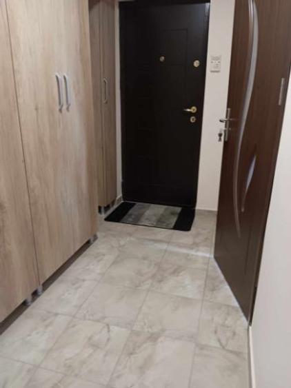 Palas Mall Centru Civic apartament 1 camera decomandat 45 mp cu CT - 9