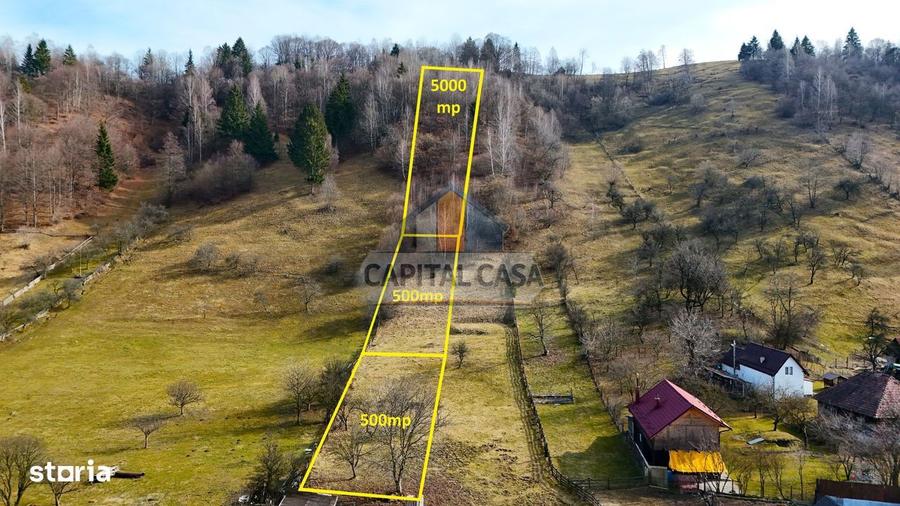 Teren intravilan in Moeciu de jos Vedere panoramica Piatra Craiului - 5