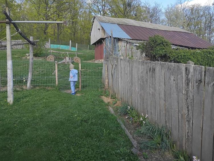 Vand casa in Poiana Cristei - 1