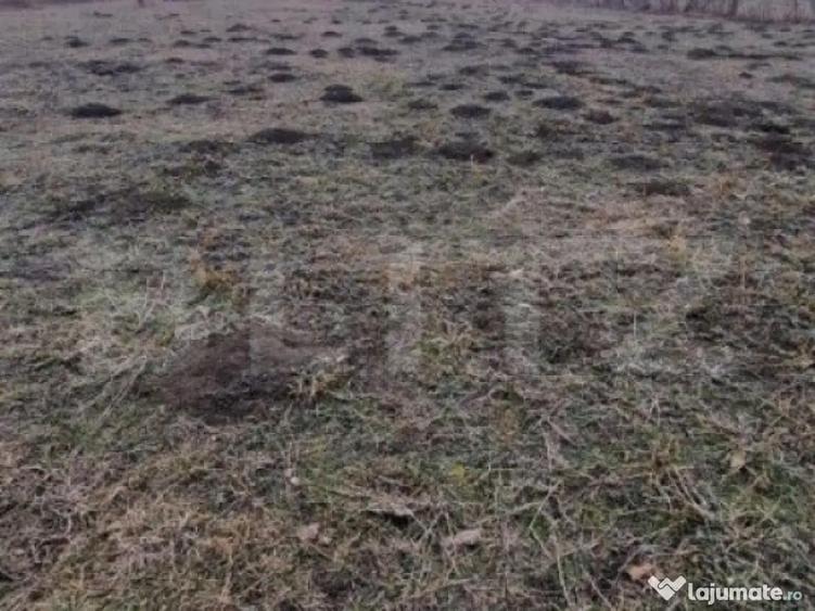 Teren intravilan de vanzare, 867 mp, 30 ml deschidere, regim - 1