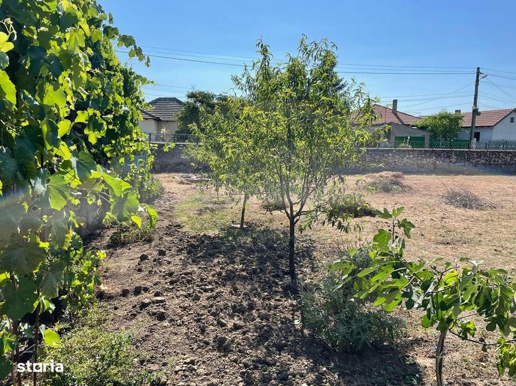 Teren investitie Lumina - 3000 mp, Deschidere 46 m, Toate utilitatile - 4