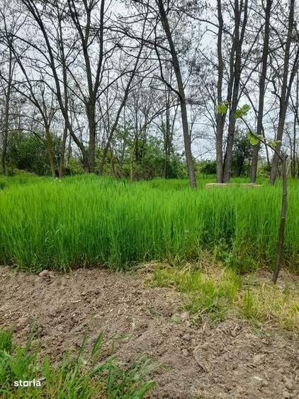 Vand teren cu anexa locuibila la padurea Scrovistea - 6