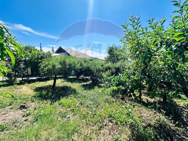 Casa cu Toate Utilitatile,Vedere Panoramica,Livada-Stefanesti, Arges - 33