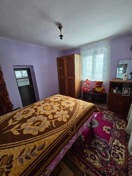 Teren si casa+ anexe de vânzare  - 5