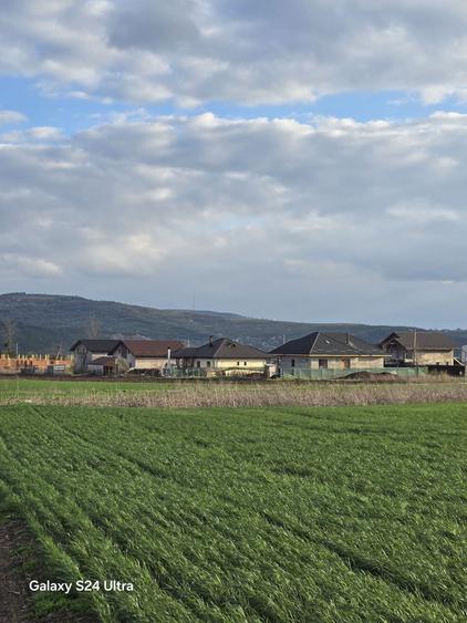 Parcele teren intravilan - Dancu - 7