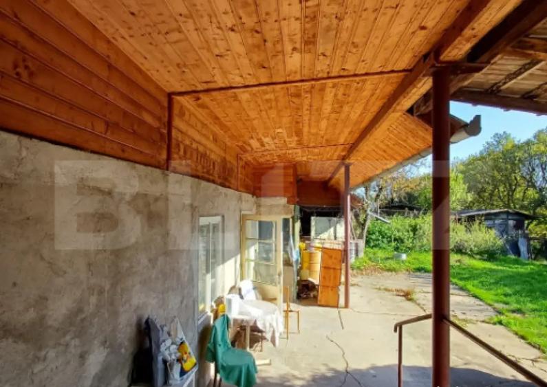 Casa renovabila cu 11508 mp teren, in Copaceni - 3