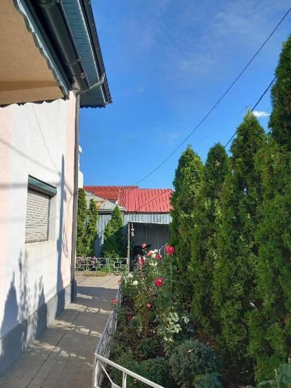 Vand casa in Adjud, jud. Vraccea - 3