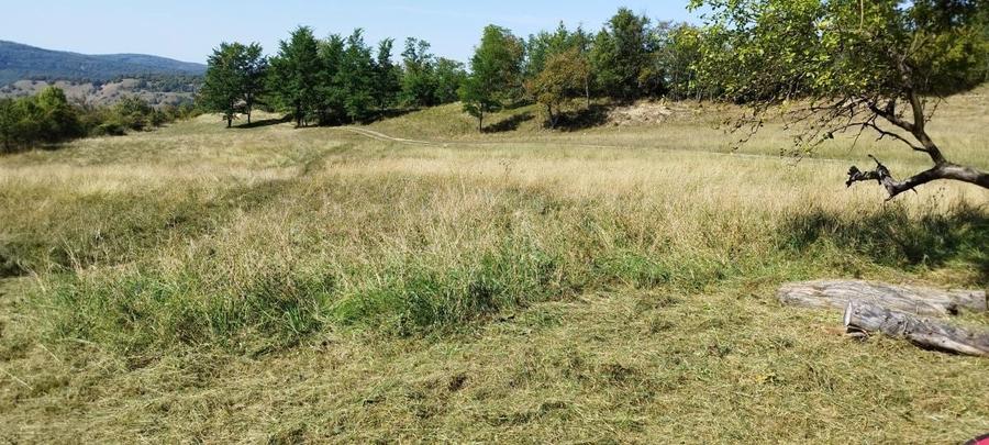 18000 mp teren extravilan in judetul Sibiu 4 euro mp - 6