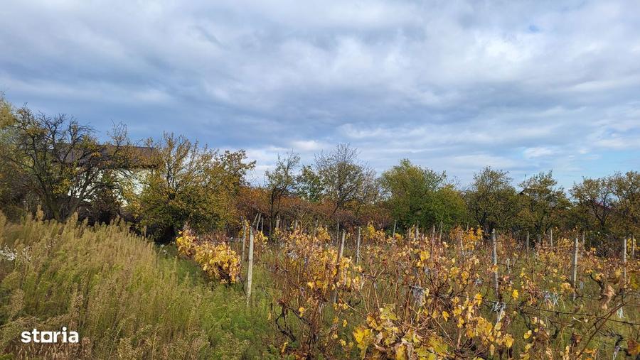 Casa de vanzare, 4 camere, teren 3200mp - 4