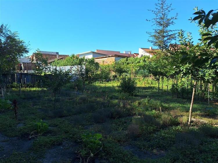 Reco, Casa Oradea Central - 5