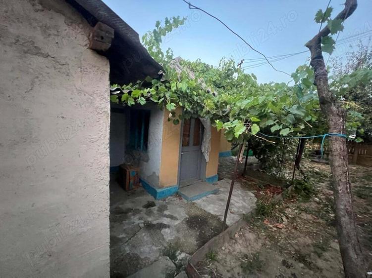 casa batraneasca + teren - 4