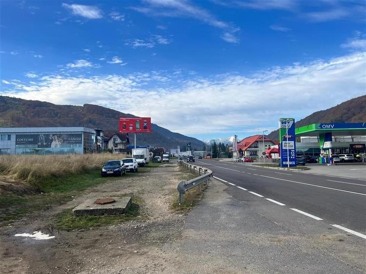 TEREN INTRAVILAN DEOSEBIT , BUNLOC, SACELE - 5