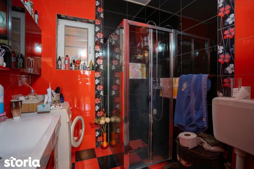 Casa de vanzare P+M Paleu - 16