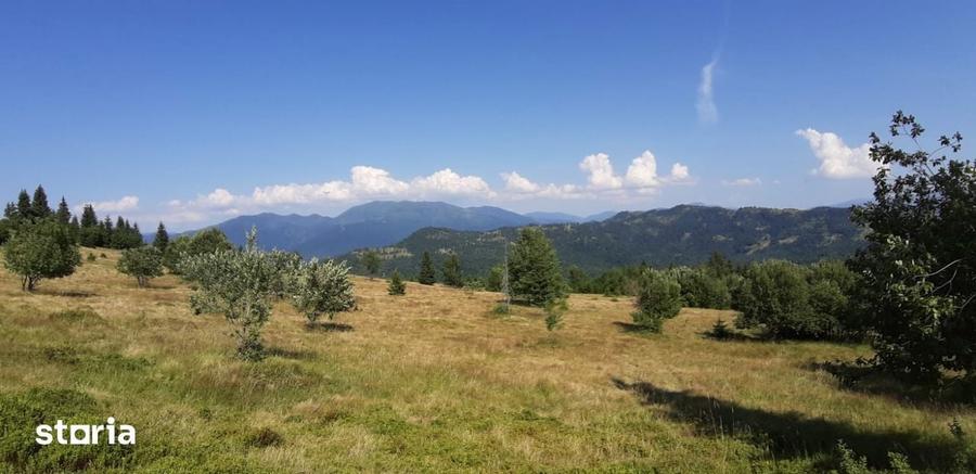 Vand teren 47.8 HA intravilan + extravilan Moisei/Viseu - 1