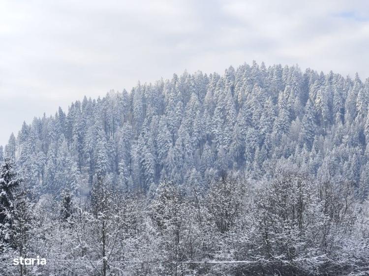 Teren intravilan, 22600mp, zona Manastirea Sucevita - 8