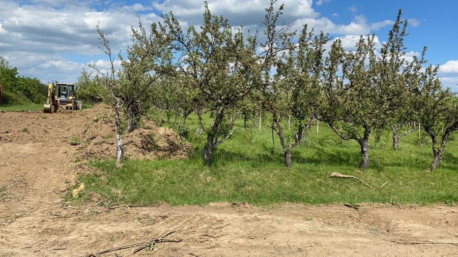 Loturi de teren ! - 7