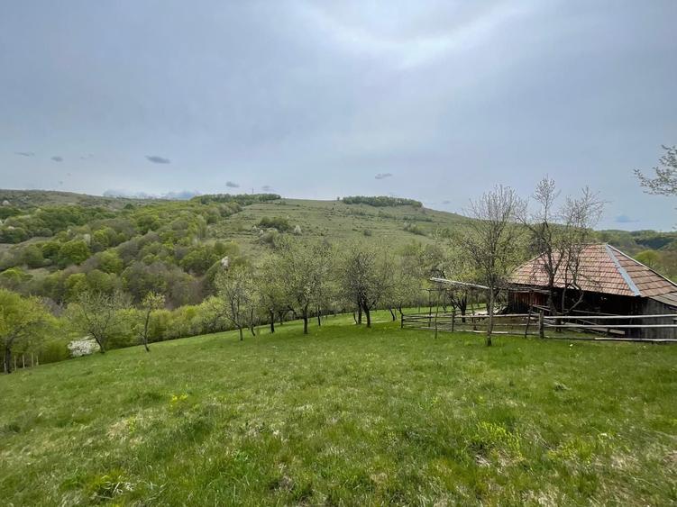 Casa, livada si padure in com Batrana judetul Hunedoara tinutul padurenilor. - 8