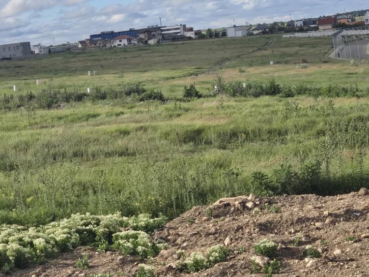 Vanzari terenuri in Techirghiol zona lac - 1