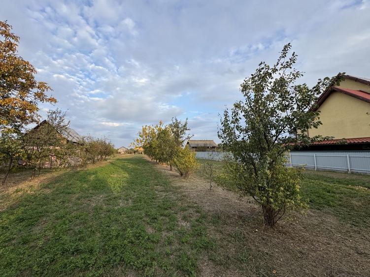 Teren Intravilan Becicherecu Mic In Vatra Satului,1104 mp,Fs. 14m - 2