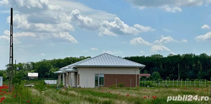 Particular Casa individuala P+M Gulia Pinului - 10