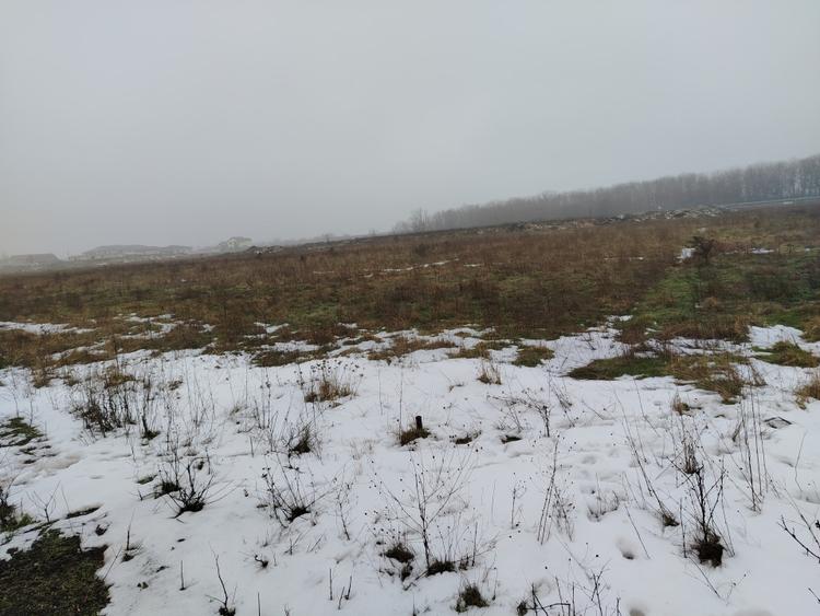 Teren 1000 mp, Carcea, front 11,57m - 1