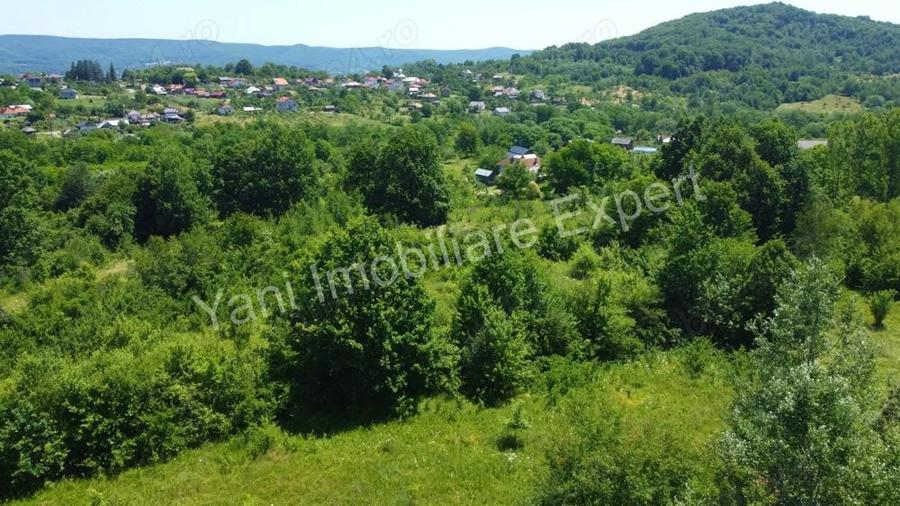 Teren de vanzare in comuna Baicule?ti, sat Valea lui Enache, jude? Arge?. - 6