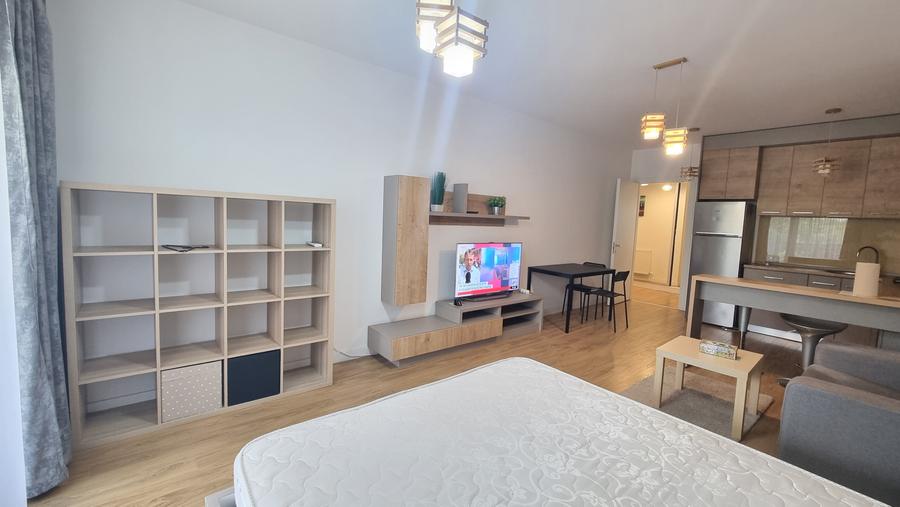 Iancu Nicolae/Residence 5 /Studio elegant / - 14