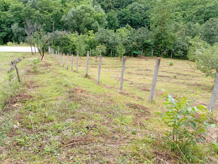 Teren agricol extravilan de 1953 mp, în Livezile