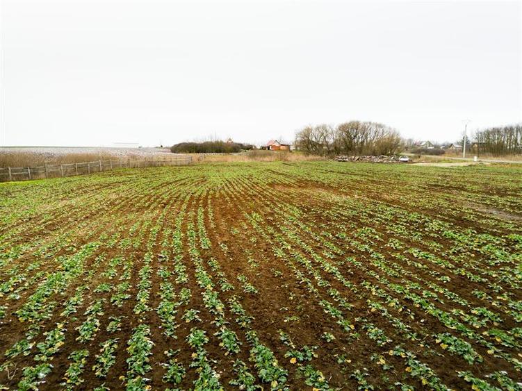 RECO . Teren extravilan  5000mp  , 110ml front . - 9