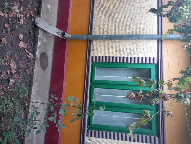 Casa batraneasca si teren de vanzare: Silistraru, Braila - 10