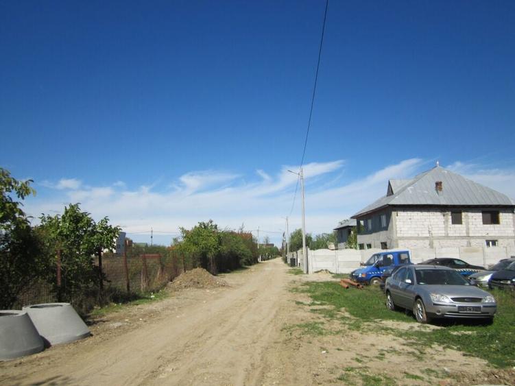 Domnesti Teghes-Padurarului - 8