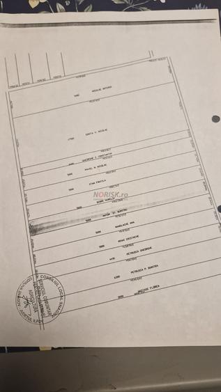 Teren extravilan | Tâncăbești | 5000mp - 3