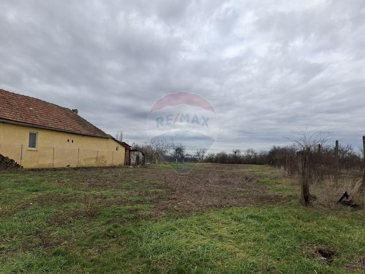 Teren intravilan 1,241mp Frumușeni, Arad - 2