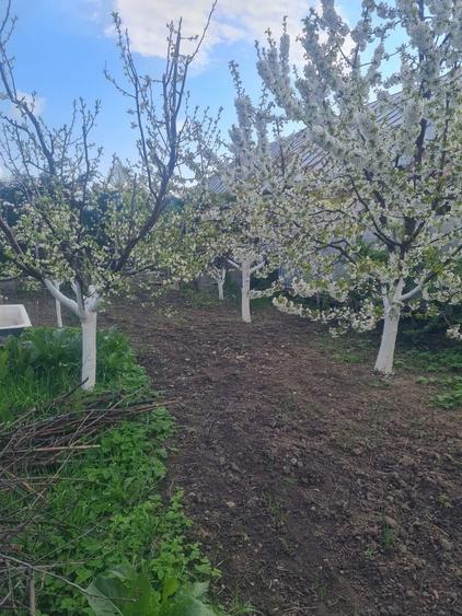 Casa batraneasca - cartierul CFR - 4