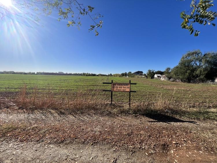 TEREN INTRAVILAN  5400mp BAICOI in apropiere de DN1 - 6