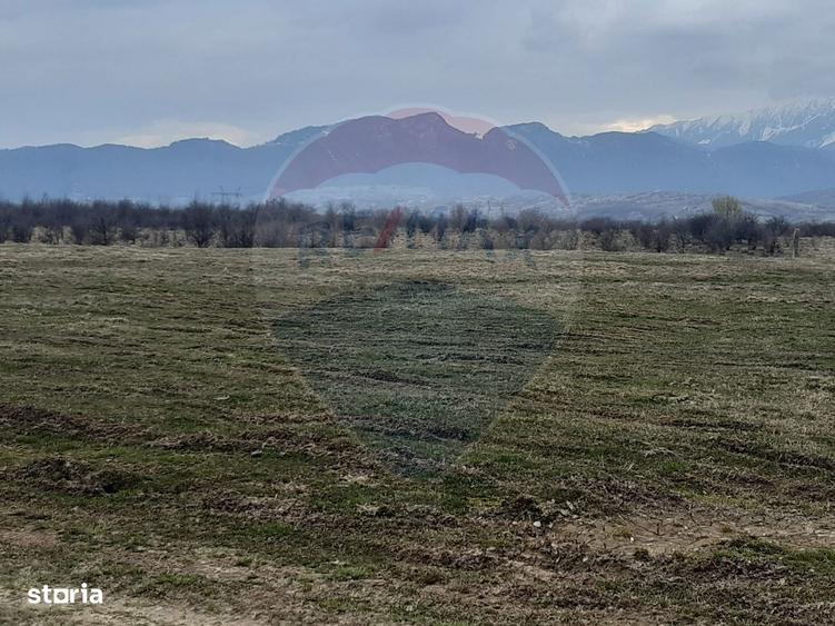 Teren 10,000mp Rasnov / Drumul Panicel - 1