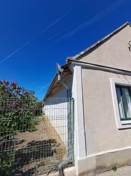 Valcani, proprietate cu casa taraneasca - 14